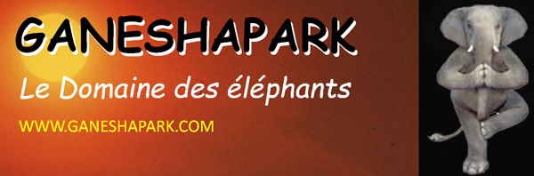 Les éléphants de Ganeshapark - Kanchanaburi - Thaïlande