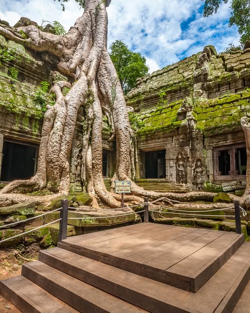 Ta Prohm Cambodge temple d'Angkor - Ta Prohm