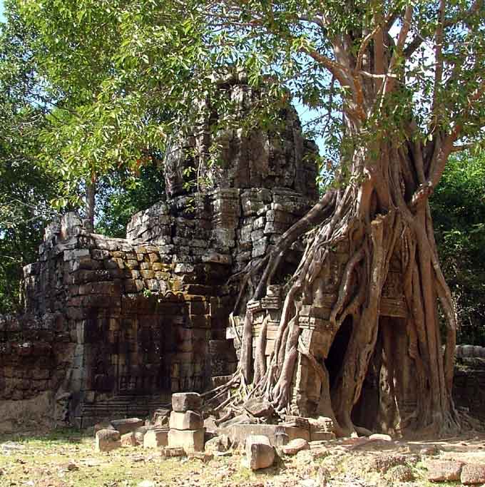 Ta Som Cambodge temple d'Angkor - Ta Som