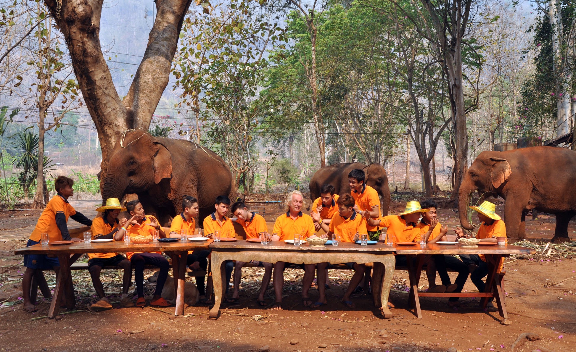MA FAMILLE, MES ELEPHANTS ET MOI - 13 à table